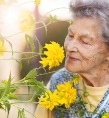 Uma senhora de idade aprecia uma linda flor amarela